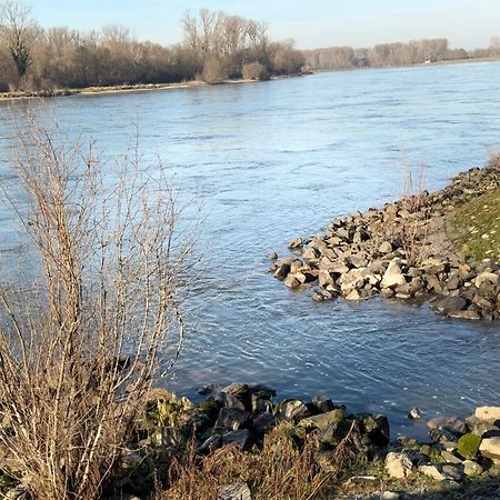Ferienhaus Hoffmann Am Rheinbogen Altlussheim Εξωτερικό φωτογραφία