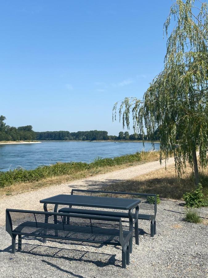 Ferienhaus Hoffmann Am Rheinbogen Altlussheim Εξωτερικό φωτογραφία